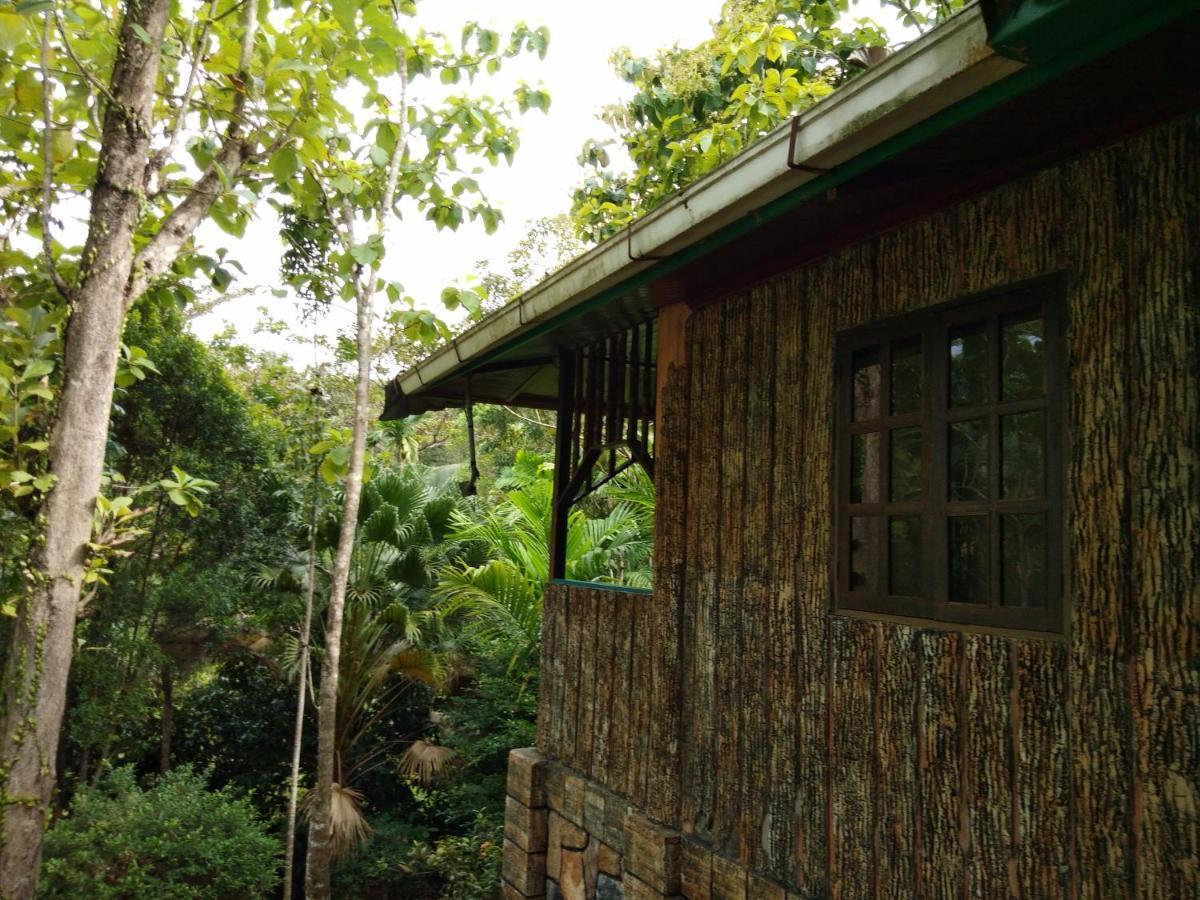 Sepilok Jungle Resort Exterior foto